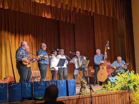 Festival tamburaških skupin 33